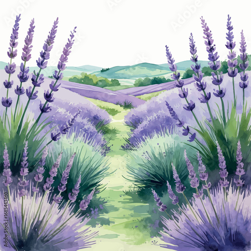 Lavender Field Watercolor Illustration. Light Purple and Green Tones with Loose Brushwork Creating a Soothing Countryside Landscape.