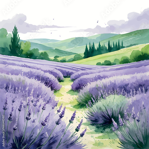 Lavender Field Watercolor Illustration. Light Purple and Green Tones with Loose Brushwork Creating a Soothing Countryside Landscape.