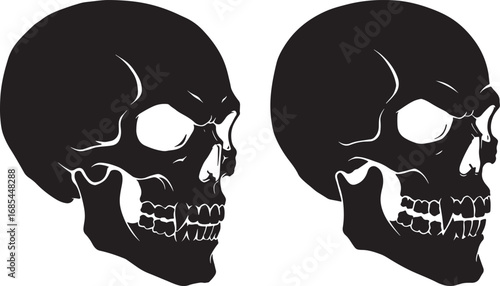 Two detailed black skull silhouettes facing different directions silhouette