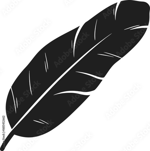 A stylized black feather with intricate details, representing grace and freedom