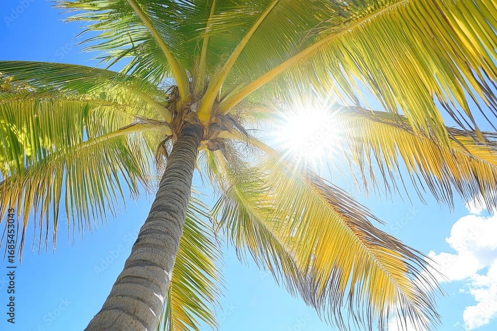Fototapeta premium Palm tree against bright sky, sun rays