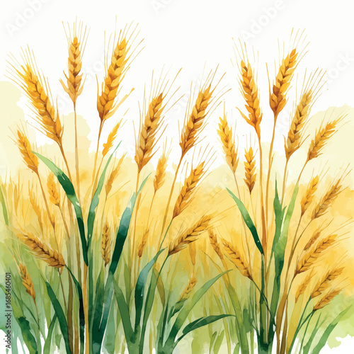 Golden Wheat Field Watercolor. Rural Farm Landscape in Soft Yellow and Green, Summer Harvest Agricultural Illustration