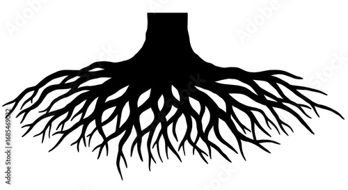 Intricate black silhouette of a tree s root system spreading out from the trunk base