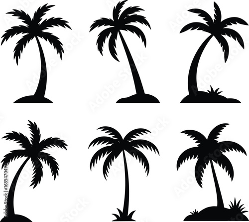 Tropical palm tree silhouettes collection, beach coconut trees set, summer island elements, black nature graphic, travel scene vector clipart