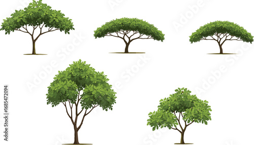 Set of wide canopy green trees, tropical and savanna tree illustrations for landscape design, natural shade trees with dense foliage, flat-top tree variety for environmental