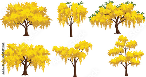 Autumn trees illustration, yellow foliage vector, seasonal change artwork, deciduous tree silhouettes, fall landscape design, botanical nature graphic, isolated tree set, decorative plant art