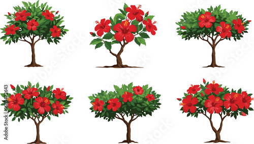 Red hibiscus tree botanical illustration, tropical flowering plant with green leaves, vibrant floral design for gardening, landscaping, nature art, exotic garden, ornamental plant reference