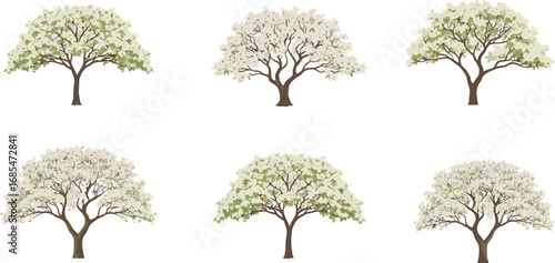 Beautiful spring blooming trees with white flowers, seasonal nature illustration, floral tree collection for landscape design, isolated spring foliage trees, botanical garden elements,
