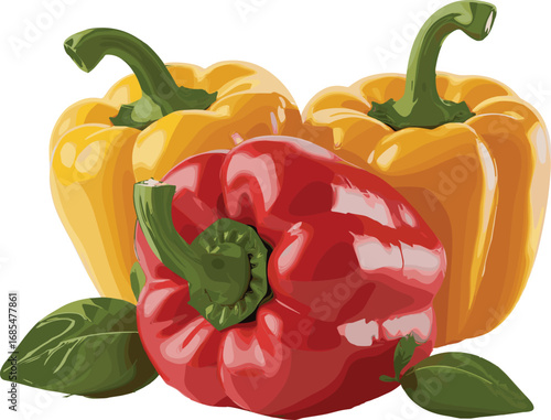 Bell pepper illustration, red yellow capsicum drawing, fresh vegetable sketch, organic pepper artwork, colorful food design, healthy vegetable art