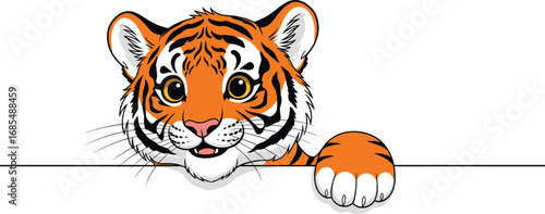 Cute cartoon tiger illustration peeking over line, adorable jungle animal, wildlife character art, playful zoo mascot, funny baby tiger