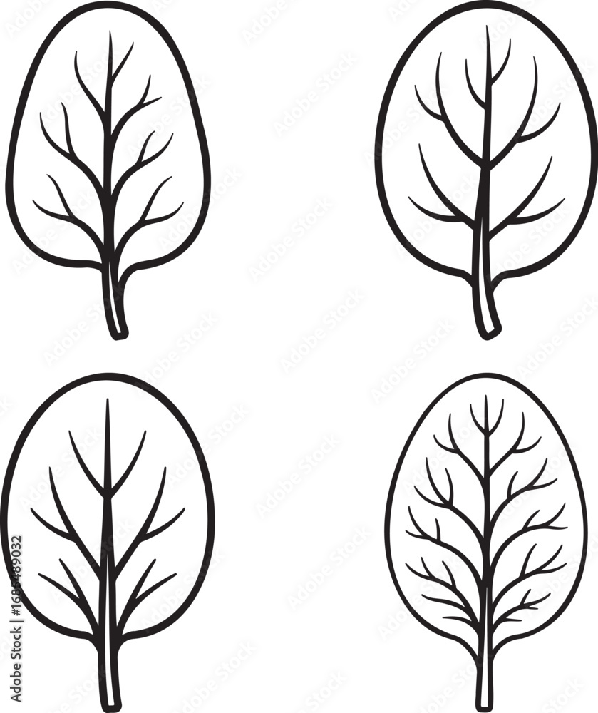 Obraz premium Set of Spinach Outline vector illustration isolated On Transparent Background
