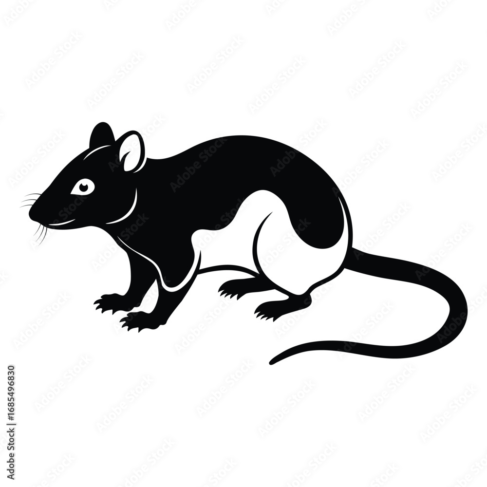 Fototapeta premium Rat silhouette