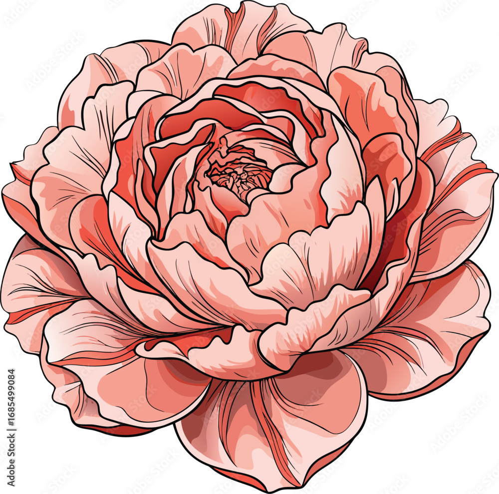 Obraz premium Spooky Peony Halloween Coral Peony Flower Bloom