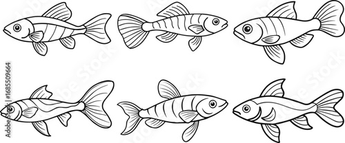 Set of guppy fish outline vector illustration line art