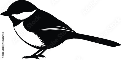 adrenal silhouette line art vector