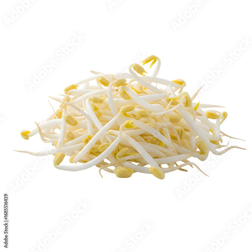 Mung Bean Sprouts CloseUp Photo of Fresh Nutritious Sprouts for Healthy Eating