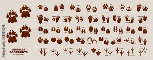 Animals footprint. Silhouette paw prints. Animal foot icon, bird feet track, hoofed feet, amphibian trail, domestic pets, mammal, nature wildlife trace on ground. Vector set