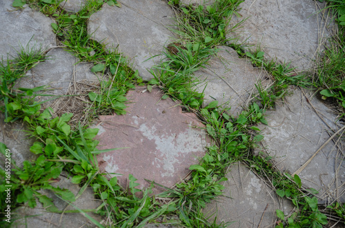Background of paving slabs overgrown with grass in the city or garden