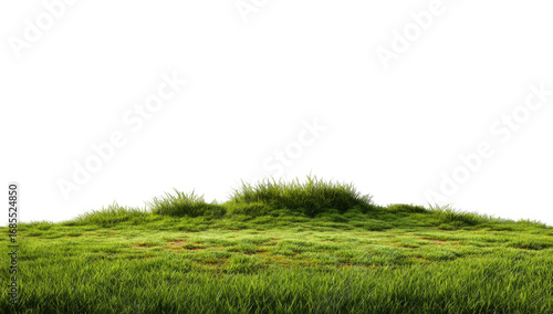 Lush green grassy hill against black background