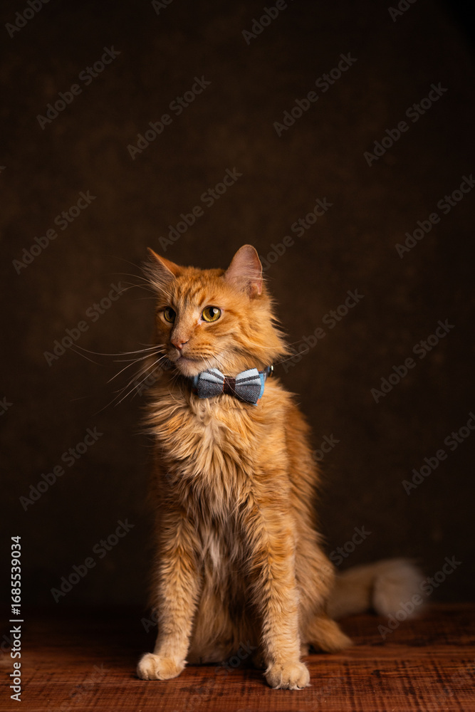 Naklejka premium gato con moño