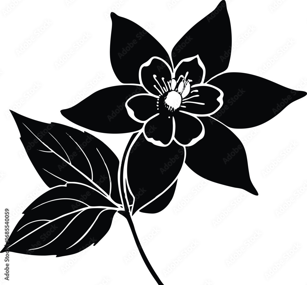 Obraz premium Columbine Flower Silhouette | Columbine Bloom Vector Clipart