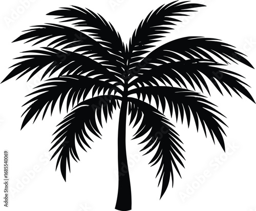 Coconut Palm Leaf Silhouette | Palm Leaf Vector Illustration