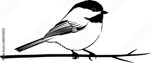 chickadee line art silhouette vector illustration