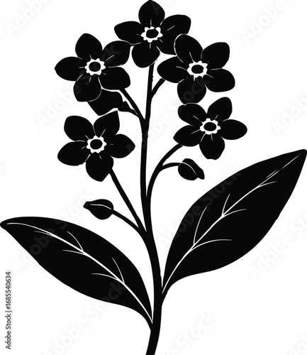 Forget Me Not Flower Silhouette | Forget Me Not Vector Clipart