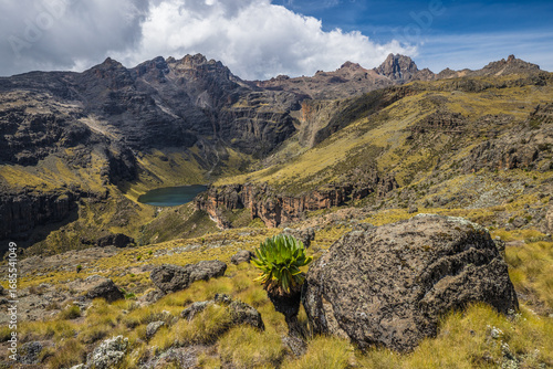 Mount Kenya  with Lake Michaelson from Chogoria Route and Dendrosenecio, Kenya