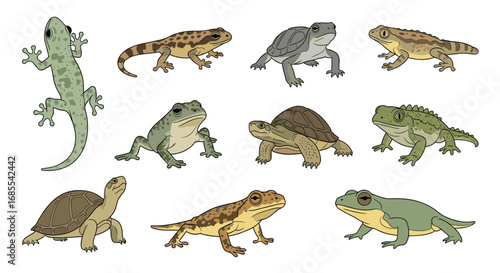 Collection of diverse reptiles and amphibians featuring various species