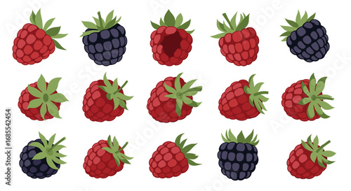 Assorted collection of delicious red raspberries and blackberries freshly picked for your enjoyment