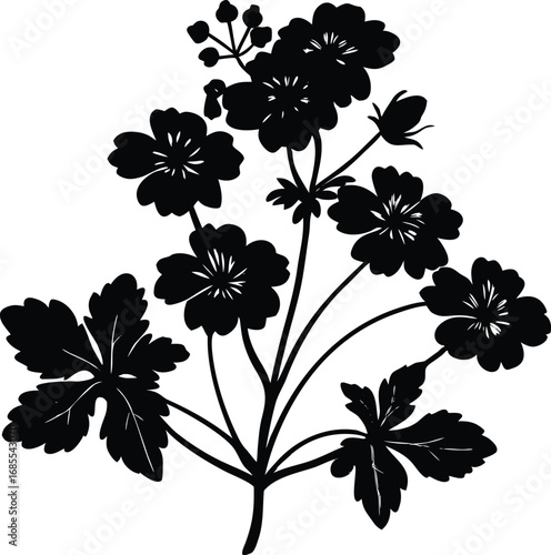 Wild Geranium Silhouette | Geranium Flower Vector Design