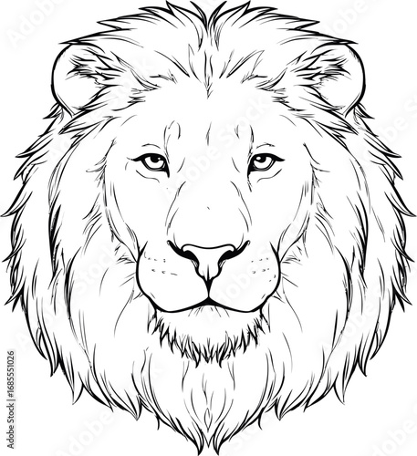 Black and white line sketch drawing of a lion's face with detailed fur mane. Vector illustration