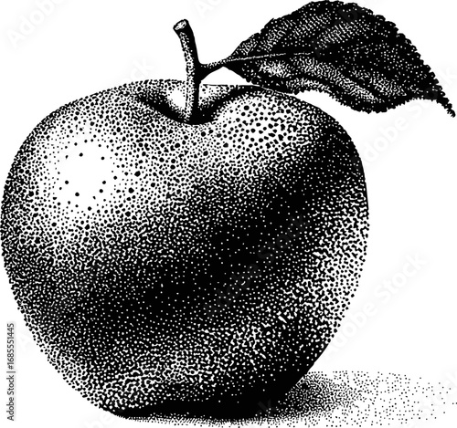 Black and white stippled apple illustration with detailed leaf and shadow. Vector illustration