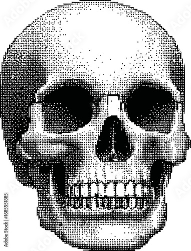 Black and white halftone skull with detailed shading. Vector illustration