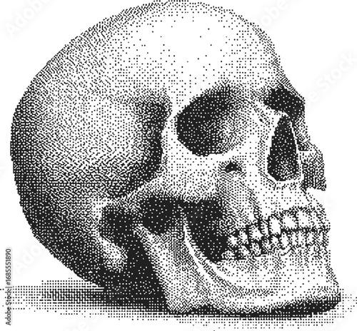 Detailed dot artwork of a human skull in profile view with intricate shading. Vector illustration