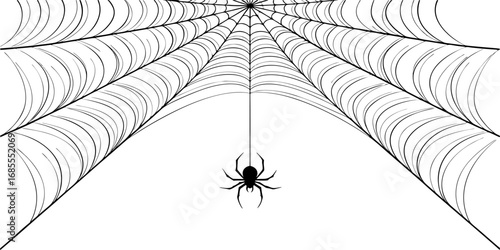 spider web vector isolated on white background