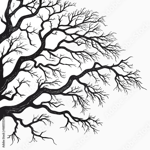 Intricate network of bare tree branches creating a dramatic silhouette against a white background