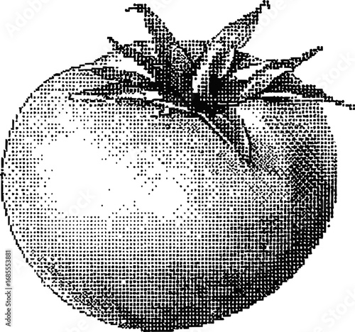 Vintage monochrome halftone illustration of a ripe tomato sketch. Vector illustration