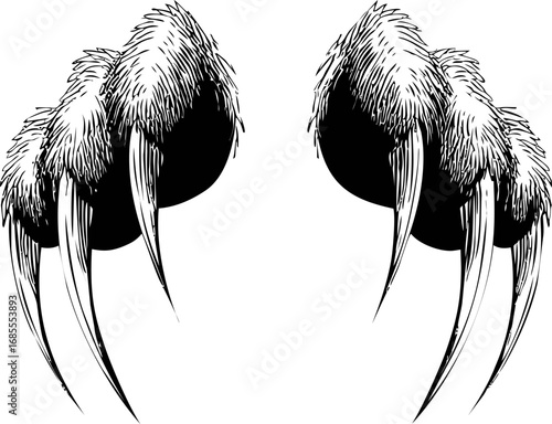 Black and white sketch illustration of two furry animal paws with sharp claws. Vector illustration