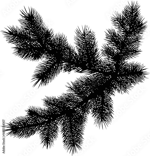 Silhouette of pine tree branch with needles in intricate detail, vector art. Vector illustration