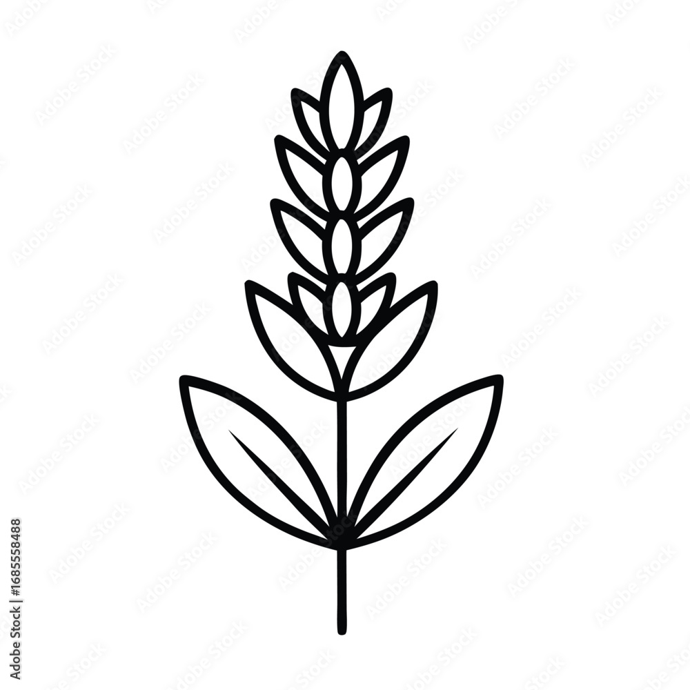 Fototapeta premium lavender flower outline icon