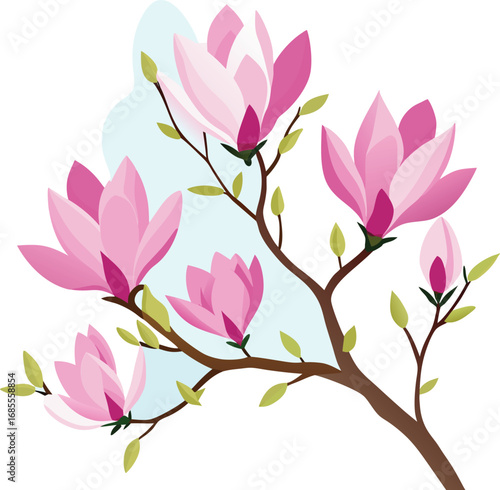 Elegant Magnolia Branch with Pink Blossoms and Light Blue Accents Illustration