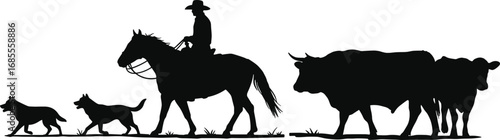 Vector illustration of cowboy riding horse with cattle and herding dogs, western farm ranch scene, livestock management, rural countryside lifestyle silhouette design