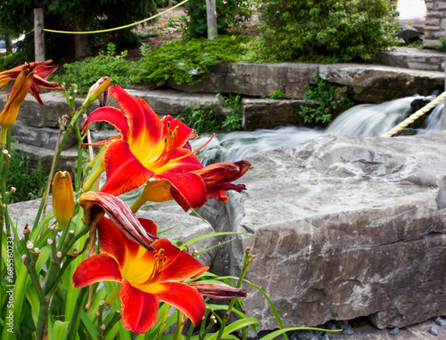 waterfall in the garden