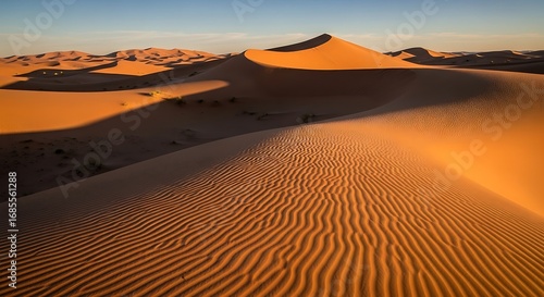 Fototapeta Naklejka Na Ścianę i Meble -  Morocco's Sahara Desert dunes form a breathtaking arid landscape at sunset, where wind-swept hills of sand reach toward a vast, dry sky
