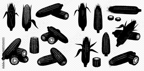 A collection of vintage-style black and white illustrations depicting various forms of corn cobs, including whole, peeled, and cut sections.