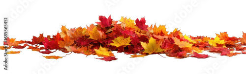 A colorful pile of autumn leaves against a black background