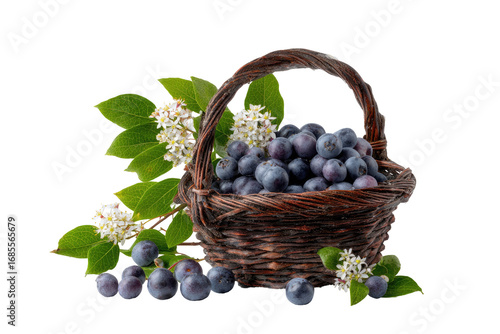 Fresh blueberries in a rustic basket, with sprigs of leaves and flowers