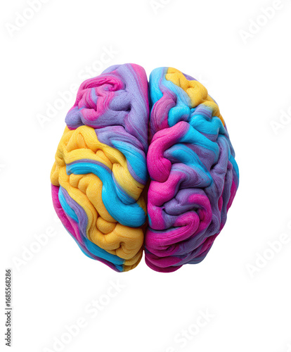 Colorful brain model (1)